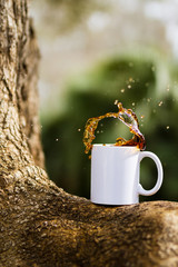 Sticker - Vertical shot of a white mug of tea on a tree at daytime