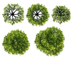 Wall Mural - set of watercolor tree top view for landscape plan and architecture layout