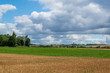 © Edda Dupree - Agrarlandschaft im Frühsommer zwischen Schöppenstedt und Wanzleben. Die Getreidefelder sind kurz vor der Ernte.