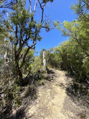 Wall Mural - Sentier de randonnée du parc Abel Tasman, Nouvelle Zélande	