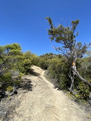 Sticker - Sentier du parc Abel Tasman, Nouvelle Zélande