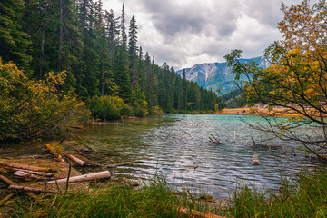 Wall Mural - Olive Lake.Kootenay National Park.British Columbia.Canada