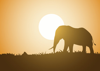 Wall Mural - Creative design of elephant walking illustration