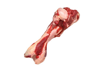 Wall Mural - Raw meaty beef bone isolated on white background. Natural dog food. 
