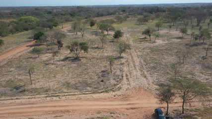 Aerial shot of dirt road diverging in two directions