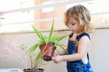 Cute Little Boy Holds A Flowerpot With A Green Plant In His Hands, Looks, Studies, Touches. Child Plays With A Plant On A Light Background. Girl Watering Flowers.Caring Plant