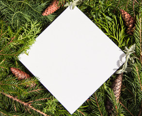 Concept Of New Year 2021, Christmas. green spruce branches with cones, around a white text frame