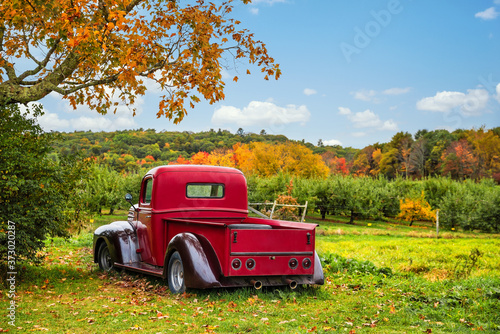 Fotografía Old antique red farm truck in apple orchard against autumn landscape background