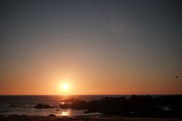 Poster - Mesmerizing shot of the tranquil beach during sunset