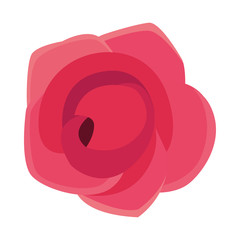 Sticker - Isolated rose flower vector design