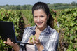 © auremar - cheerful female engineer with a laptop computer in vineyard