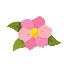 Poster - pink flower with leaves vector design