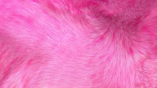 Fluffy Pink Fur Background