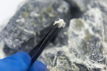 A Macro Photograph Of Fibers Of The Mineral Chrysotile Asbestos Taken From Host Rock With Tweezers