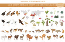 Desert Biome, Xeric Shrubland Biome, Natural Region Infographic. Terrestrial Ecosystem World Map. Animals, Birds And Vegetations Isometric Design Set