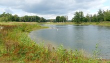 Small Lake In A Nature Area Called Nieuwe Leemputten, Near The Village Of Dorst In The Netherlands.