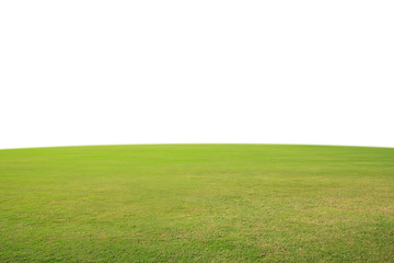Canvas Print - green grass and white background.