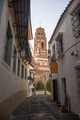 Poster - Low angle shot of a facade of ancient buildings in Spain