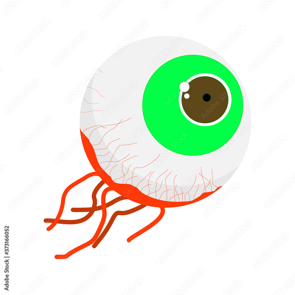 Torn eyeball, Body parts Isolated on white background. ingredient for ...