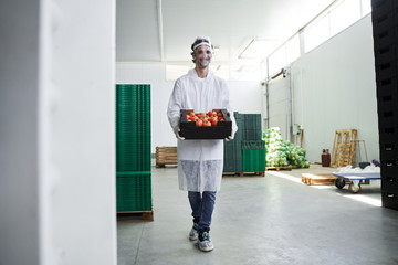 Wall Mural - Smiling male worker carrying a cardboard of tomatoes