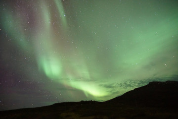 Wall Mural - Breathtaking view of green polar lights