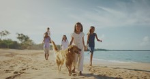 Happy Young Family Walking Down The Beach With Their Dog, Golden Retriever Playing, Family Lifestyle