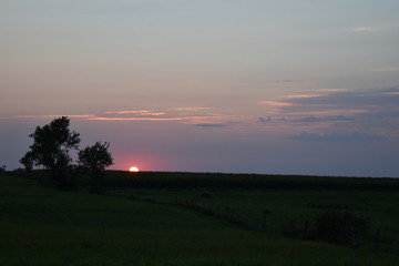 Wall Mural - Sunset Over a Field