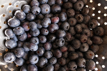 Poster - Close up shot of delicious blueberries in a bowl