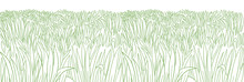 High Thick Green Grass Meadow. Lawn Growth. Hand Drawn Sketch. Seamless Pattern Horizontal Banner Background. Vector Contour Line.