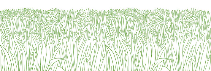 High thick green grass meadow. Lawn growth. Hand drawn sketch. Seamless pattern horizontal banner background. Vector contour line.