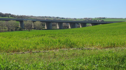 Poster - Un ponte tra la natura