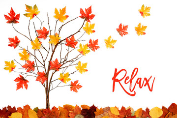 Wall Mural - tree with colorful leaf decoration, leaves flying away, text relax
