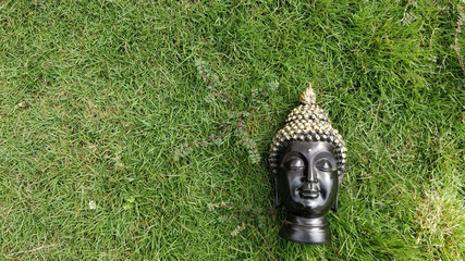 Wall Mural - Top view of a Buddha head statue on the green grass