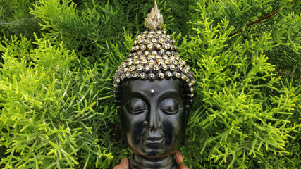 Wall Mural - Closeup of a hand holding a Buddha head statue in front of green pine leaves outdoors