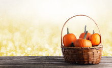 Little Pumpkins In Basket