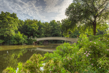 Bow bridge in summer