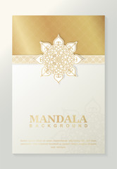 luxury cover background with mandala texture