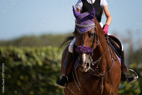 Fotografía Horseback riding, equestrian child is riding a horse