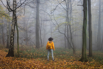 Wall Mural - adventure in nature. tourist explorer hiking in fog at autumn forest