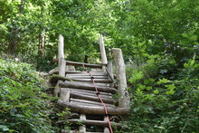 Natural Jungle Gym With Rope In Schlossberg In Freiburg Im Breisgau In Germany. Sports Facility Is Situated In Forest Surrounded By Wild Trees And Bushes.