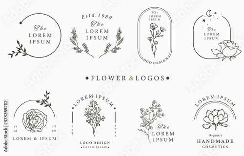 Fotomural Beauty occult logo collection with geometric,rose,moon,star,flower