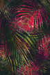 abstract colorful palm tree background 