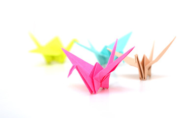 Wall Mural - Origami colorful bird papers in leading teamwork on white background