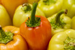 Close up of colorful fresh bell peppers background close up