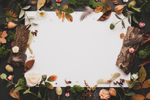 Autumnal-winter Concept With Dried Flowers And Leaves, Branches Of Eucalyptus, Bark Of Trees And  Berries On Dark Background. Frame Of Plants. Flat Lay, Copy Space.