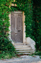 Canvas Print - Vertical shot of an old wooden door of a building surrounded by wall plants