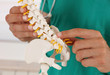 Back pain relief concept. Doctor chiropractor explains causes of back pain lumbar spine disk model