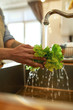 © Svitlana - Close up of hands of man, cook washing salad greens in the sink in kitchen while preparing vegetables for cooking a meal
