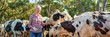 © JENOCHE - Farmer is working on farm with dairy cows.