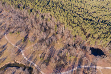 Wall Mural - Drone shot flying on spring river in forest